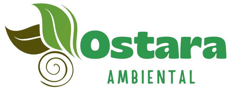 Fundo transparente e1748551355895