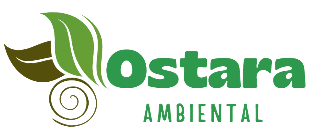 Logo 2 5