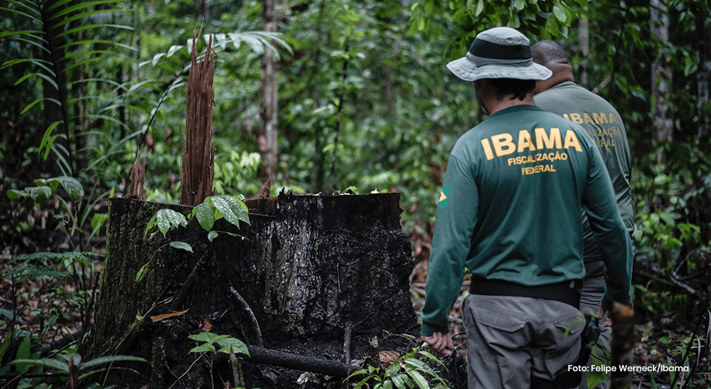 Capa Ibama combate desmatamento ilegal na Terra Indigena Pirititi em Roraima v2